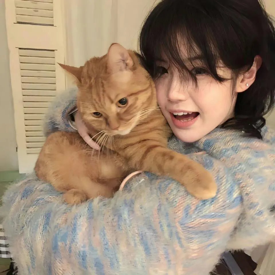 满目星河皆是你